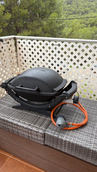 Barbacoa Weber Q100