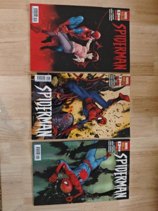Spiderman Panini Marvel