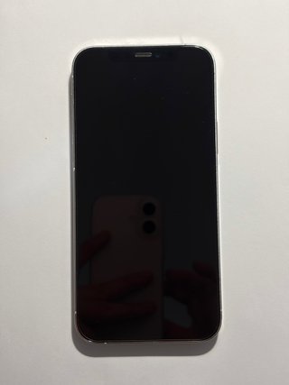 iPhone 12 Pro - 128 GB - Plata (Libre)