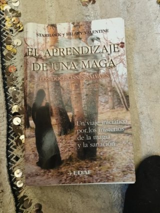 El aprendizaje de una maga: los doce cisnes sal...