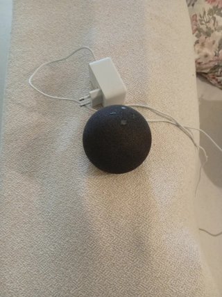 Amazon Echo Dot