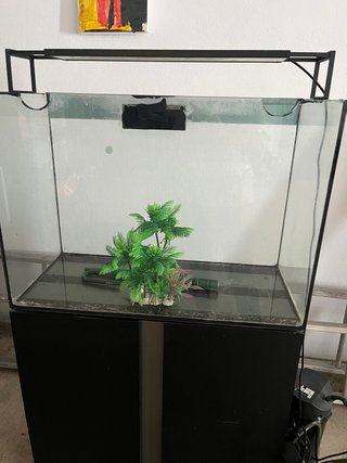 Aquário Ciano 125L com Móvel
