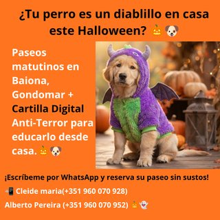 Paseador de perros en Baiona y Gondomar + Guía Dig