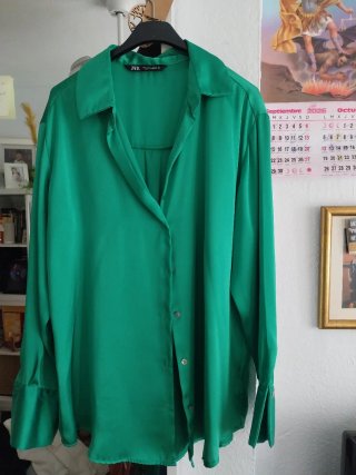 Camisa Verde Zara