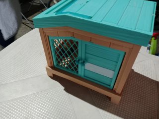 Casita hamsters familia