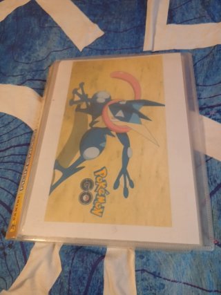 Álbum de Cromos Pokémon Panini