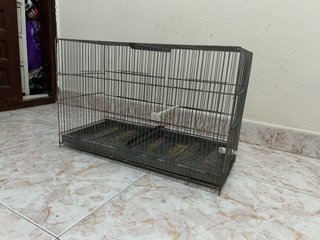 Jaula para pajaros