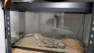 Terrario de Cristal con Marco Negro