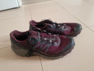 Zapatillas Salomon Sense Ride 4