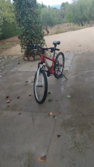 Bicicleta de Montaña Roja