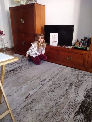 Alfombra Estampada Gris y Beige