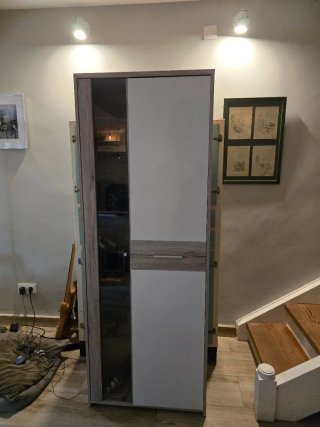Vitrina con baldas y puerta de cristal