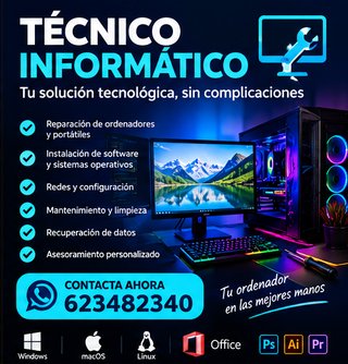 Servicios de Técnico Informático