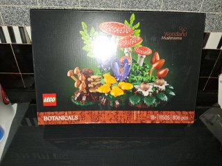 LEGO Botanicals Woodland Mushrooms 11505