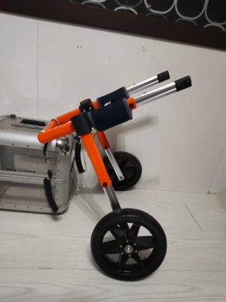 Silla de Ruedas para Perro