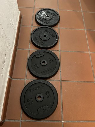4 Discos de Pesas Domyos 10kg