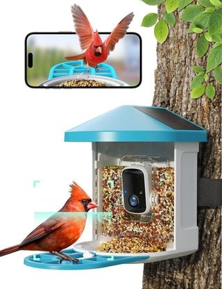 Comedero para Pájaros con Cámara HD
