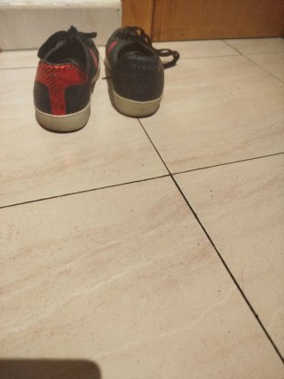 Zapatillas Gucci