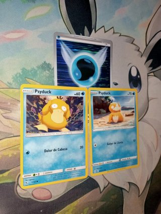 2 Psyduck.pokemon