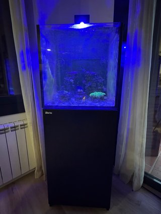 Pecera Red Sea Max Nano XL G2 126L