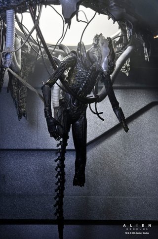 Figura Deluxe Suspended Lab Xenomorph NECA