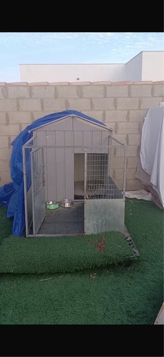 Caseta para Perro Grande