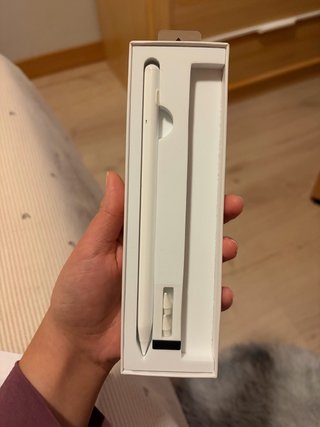 Lápiz para iPad