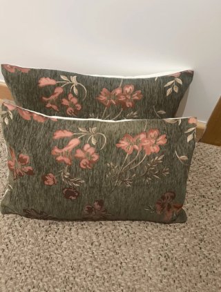 Set de 2 Cojines Estampados