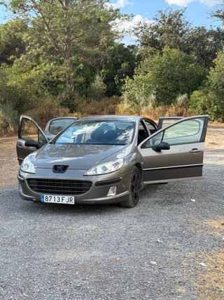 Peugeot 407 2006 ST Confort Pack