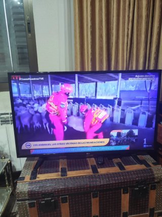 TV LG 43LF510V 43 pulgadas