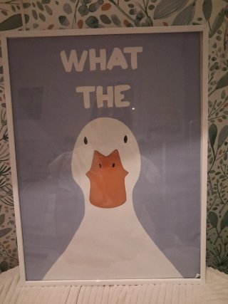 Cuadro Infantil Pato Ikea