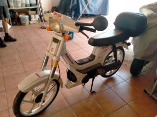 Derbi Variant