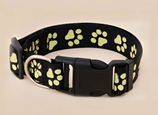 Collar Recargable para Perros Talla M