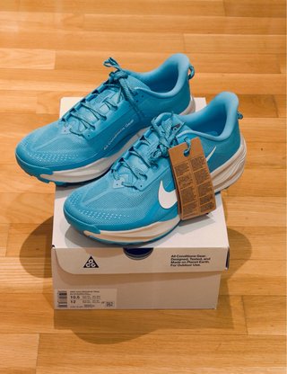 Zapatillas Nike ACG Pegasus Trail Azules