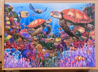 Puzzle 1000 piezas - Arrecife de coral