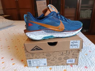 Nike Pegasus Trail 5 ReactX