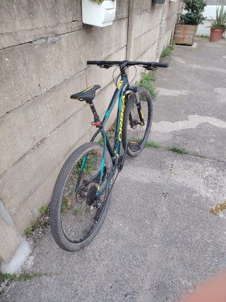 Bicicleta de Montaña Orbea MX 29