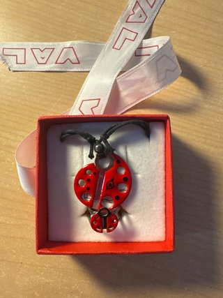 Set de Joyería Mariquita para Niña