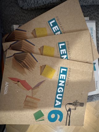 Lengua 6