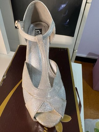 Zapatos de fiesta plateados