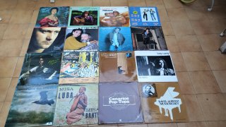 Lote de 16 Discos de Vinilo. Sueltos consulta prec