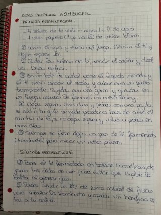 Kit para preparar Kombucha