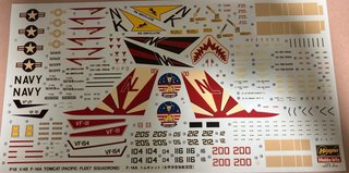 Calcas Hasegawa F-14A Tomcat 1/48