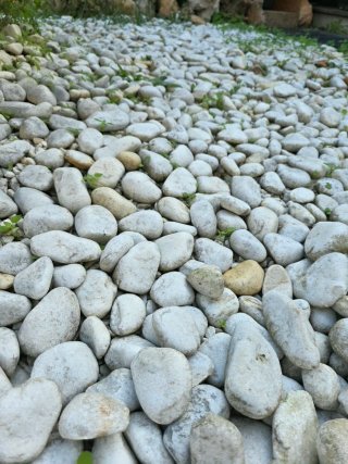Piedras Blancas Decorativas