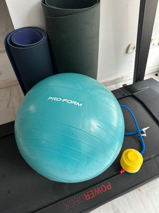 Pelota grande de Pilates Proform Decathlon