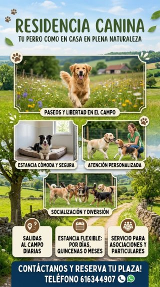 Residencia canina