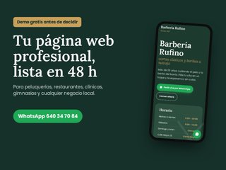 Diseño de páginas web profesionales