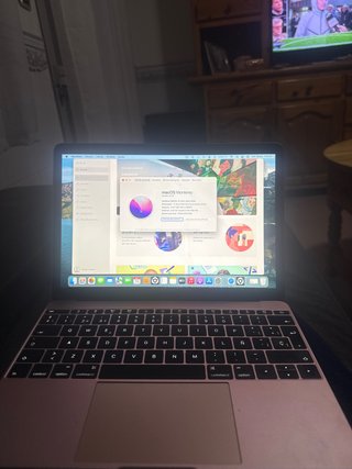 Apple MacBook 12 (Early 2016)