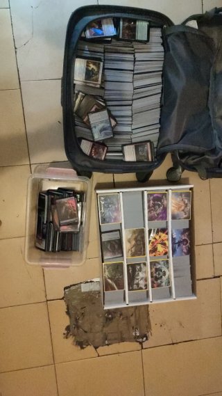 Lote de cartas Magic: The Gathering