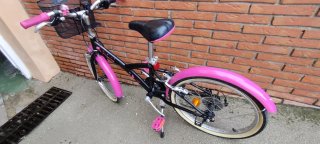 Bicicleta de niña 20 pulgadas